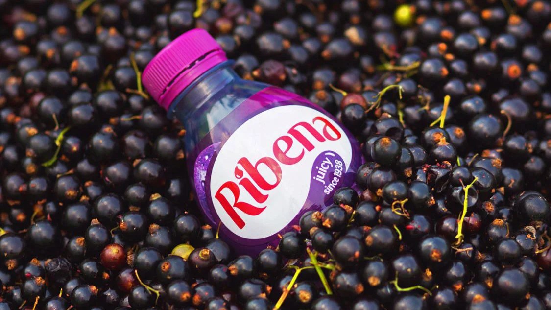 quinco-holdings-malta-quintano-img-5